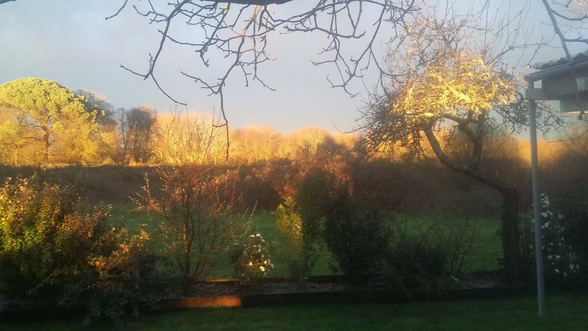 Unabhängiges Studio Vielle-Tursan 245646