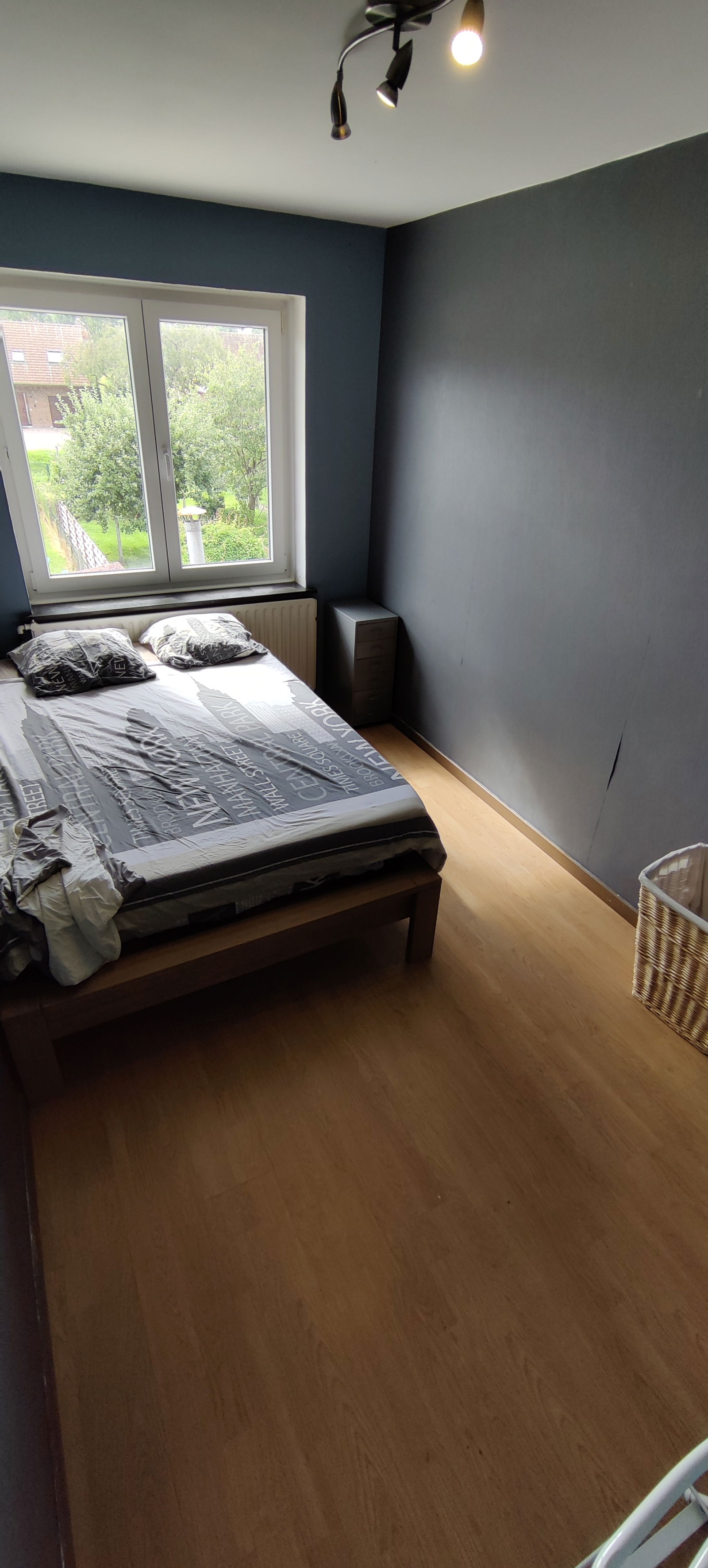 Kolokation Ath 291999