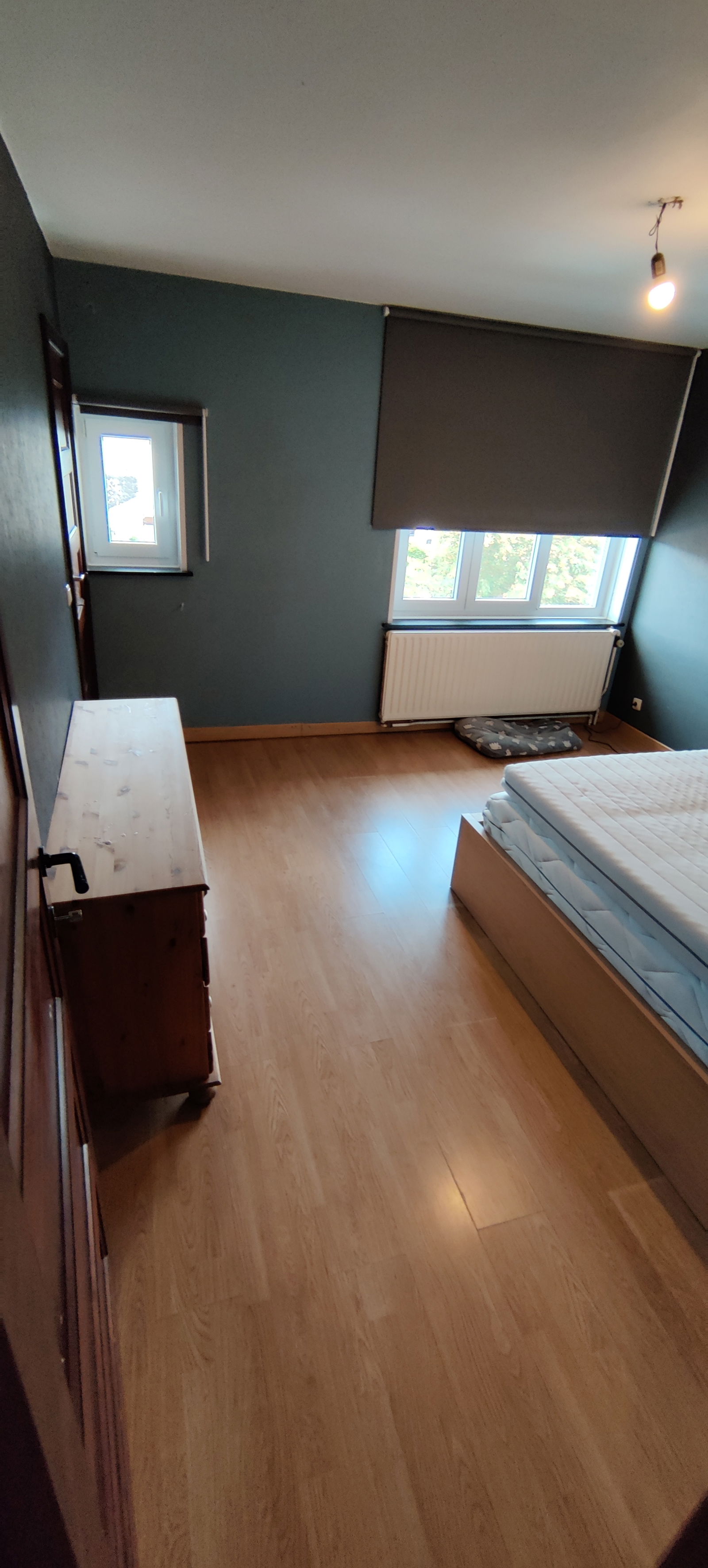 Kolokation Ath 291999