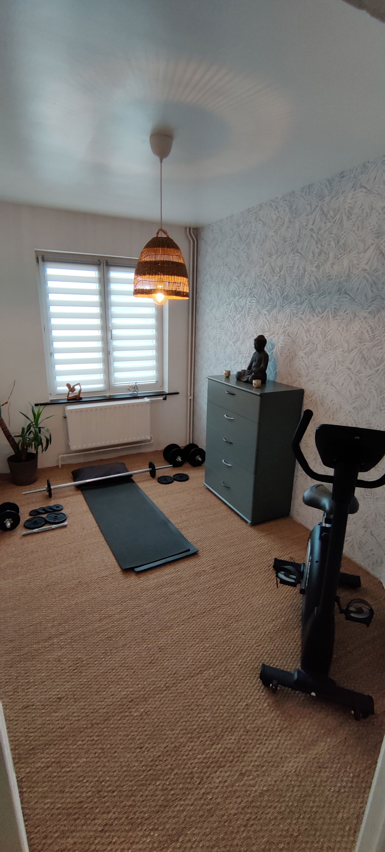 Kolokation Ath 291999