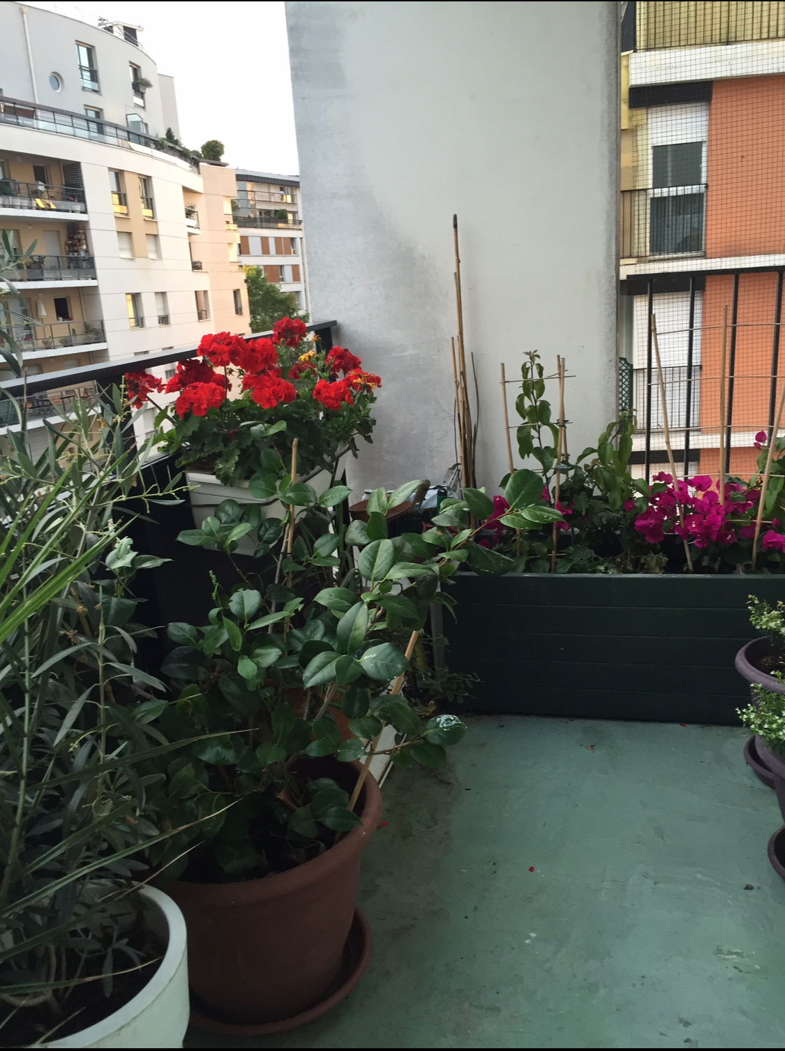 Gastfamilie Paris 92278