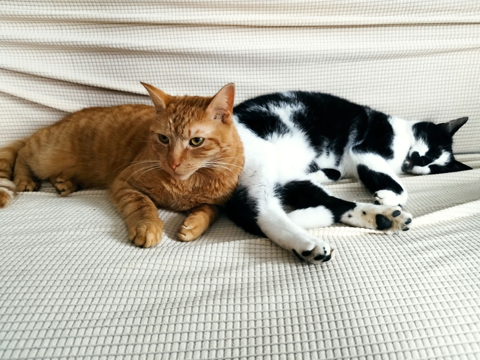 Gastfamilie Béthune 366489