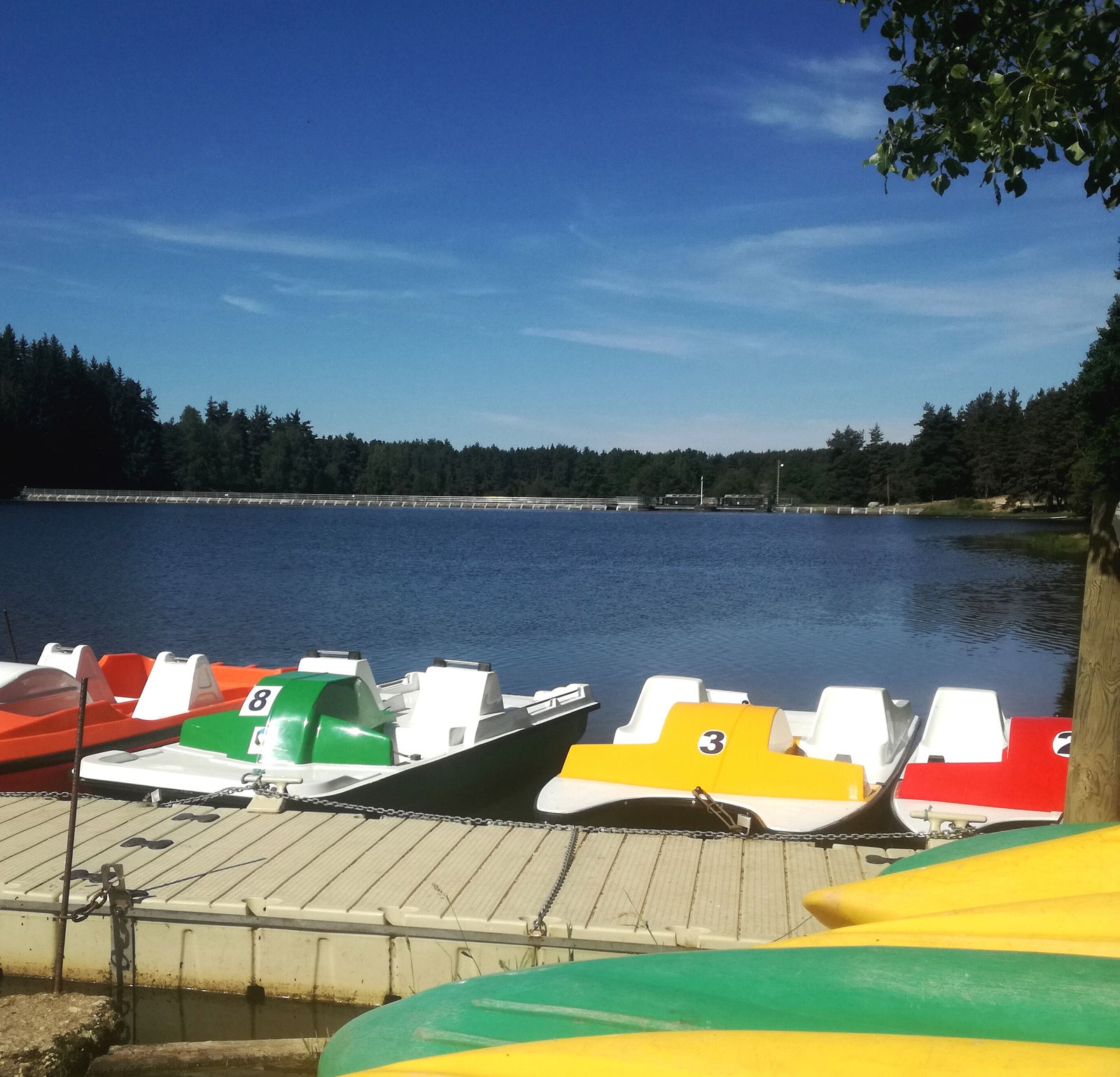 Gehele Woning Monts-de-Randon 363147