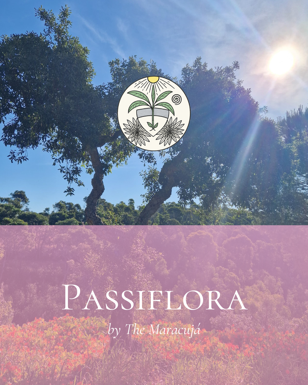 Coliving Barão de São João 538328