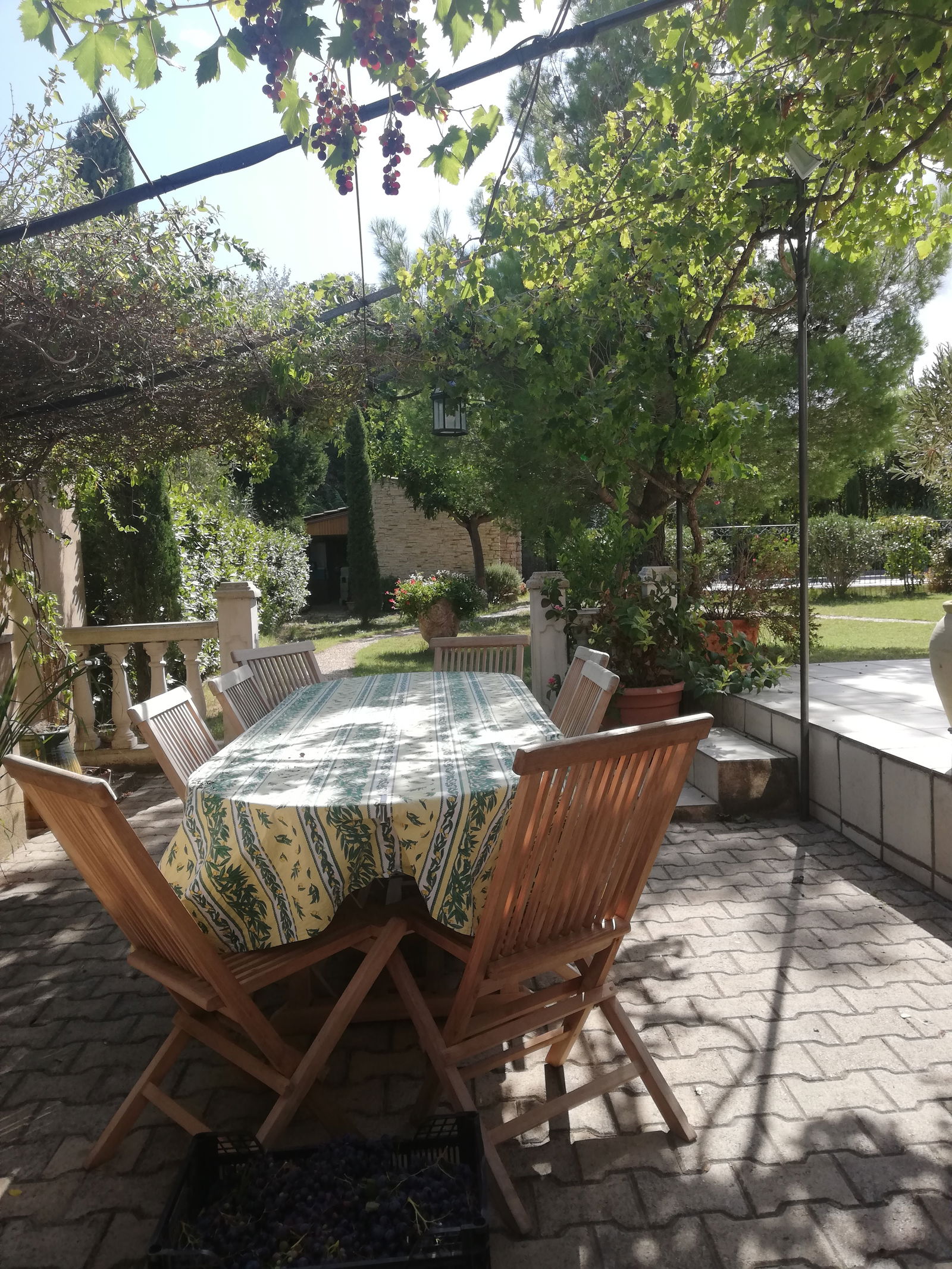Gastfamilie Rochefort-du-Gard 212740