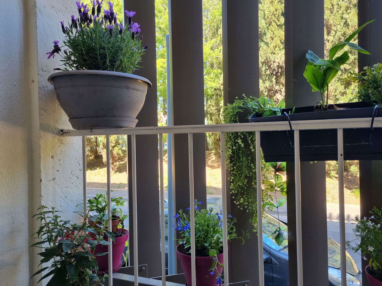 Colocation Béziers 373022