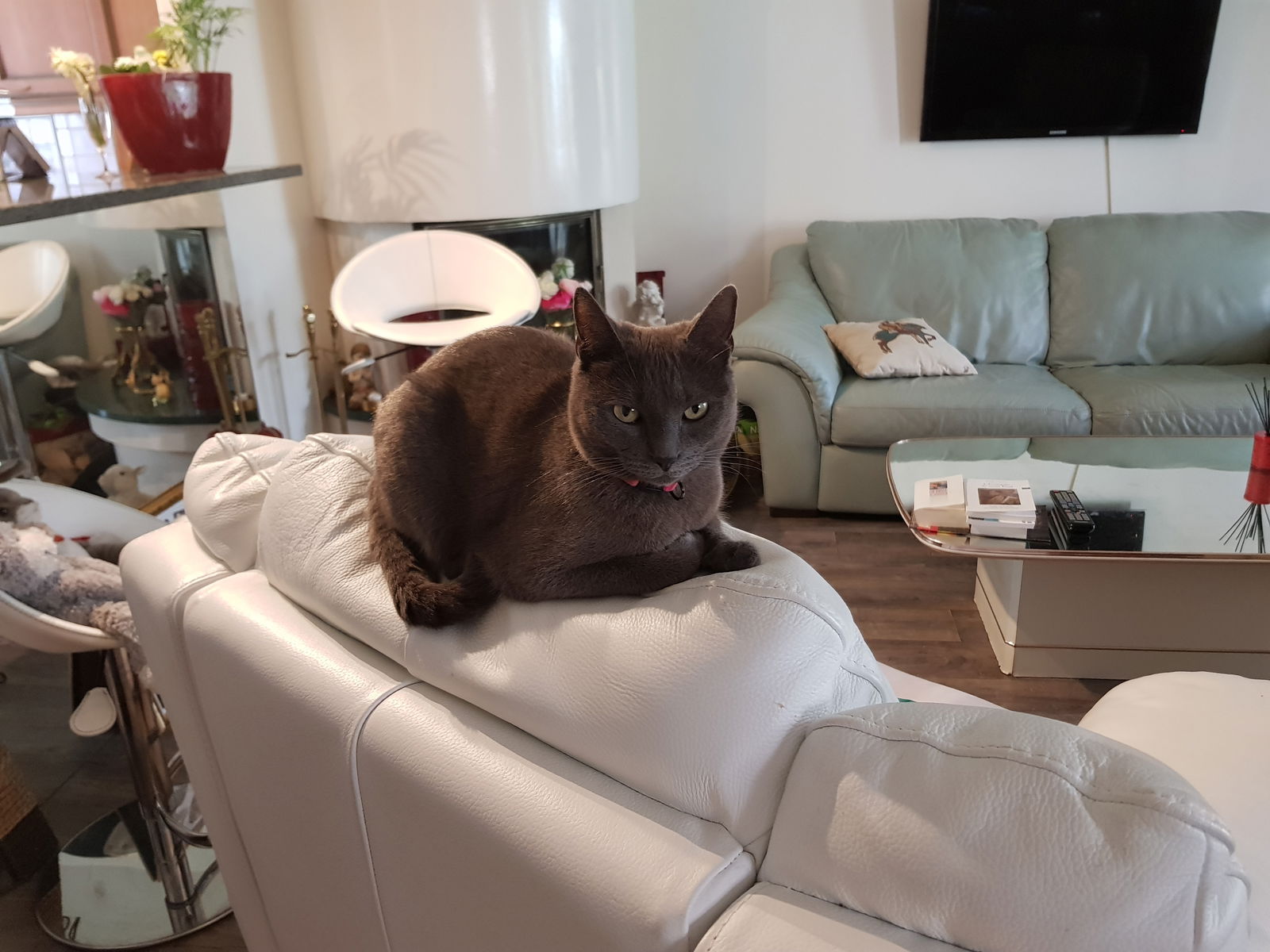 Hjemmeophold Montesson 216233