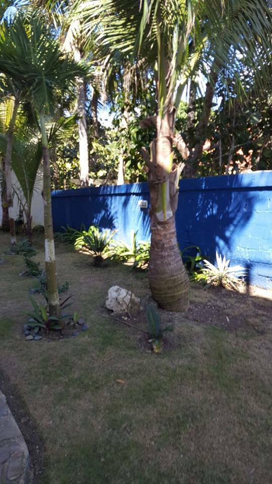 Ganzes Haus Playa Juan Dolio 181610