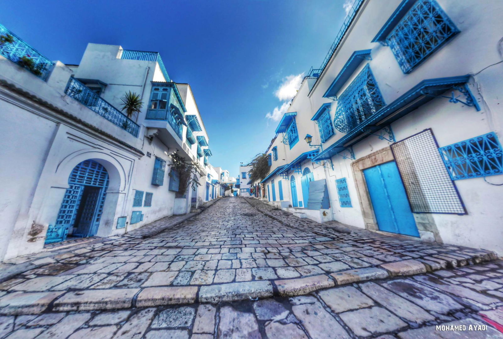 Gastfamilie Site archéologique de Carthage 203402