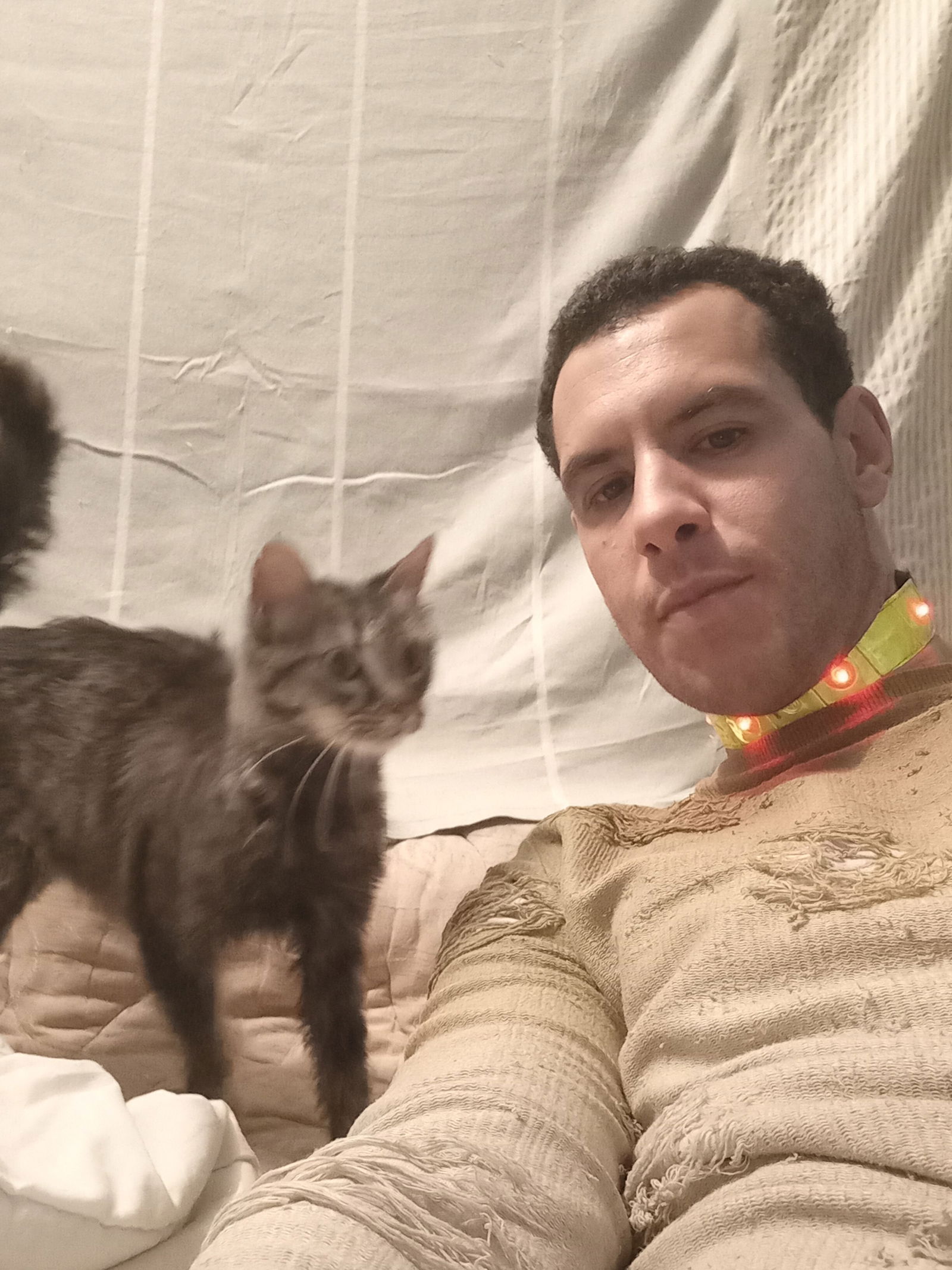 Gastfamilie Site archéologique de Carthage 203402