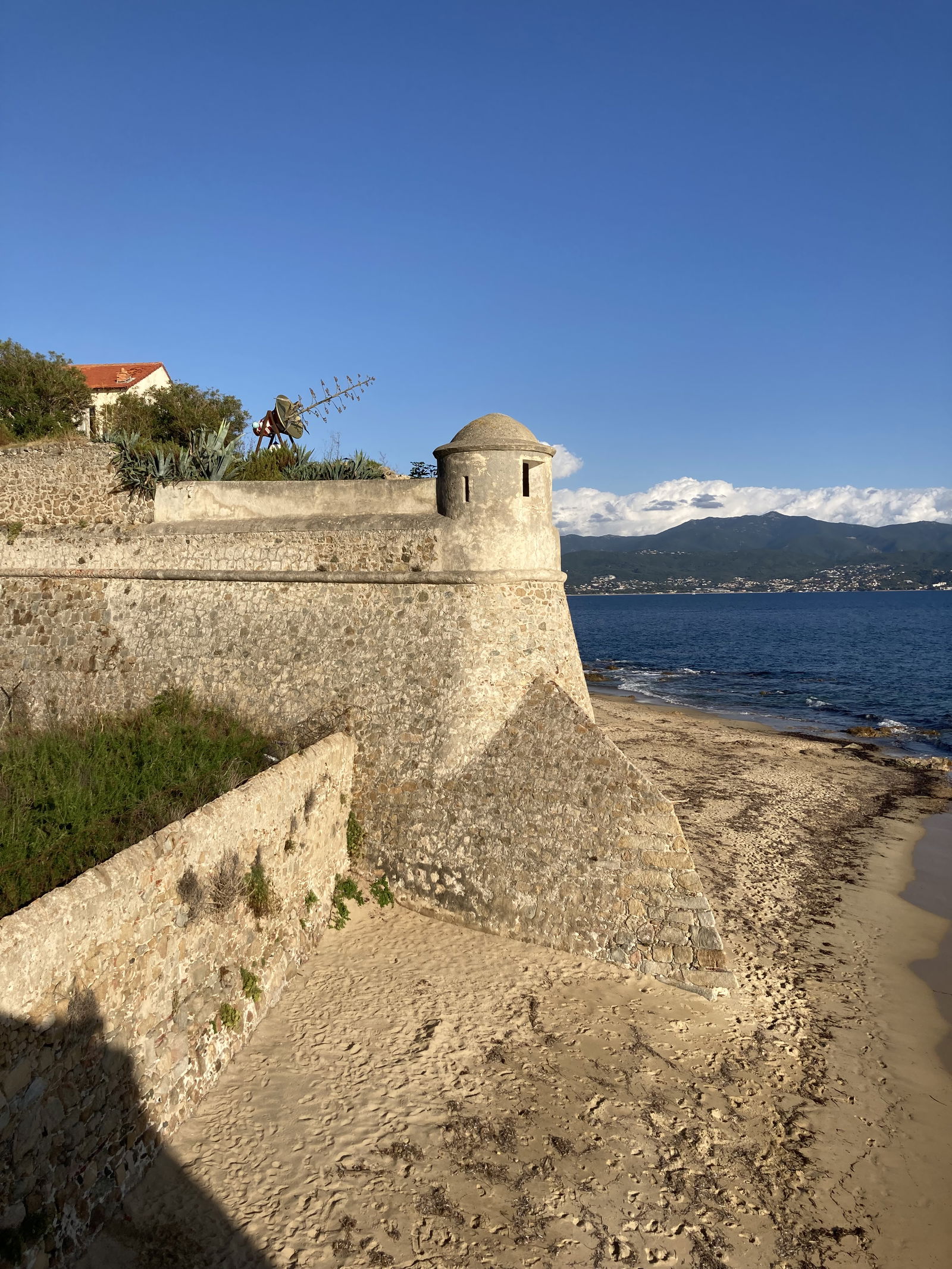 Unabhängiges Studio Ajaccio 293939