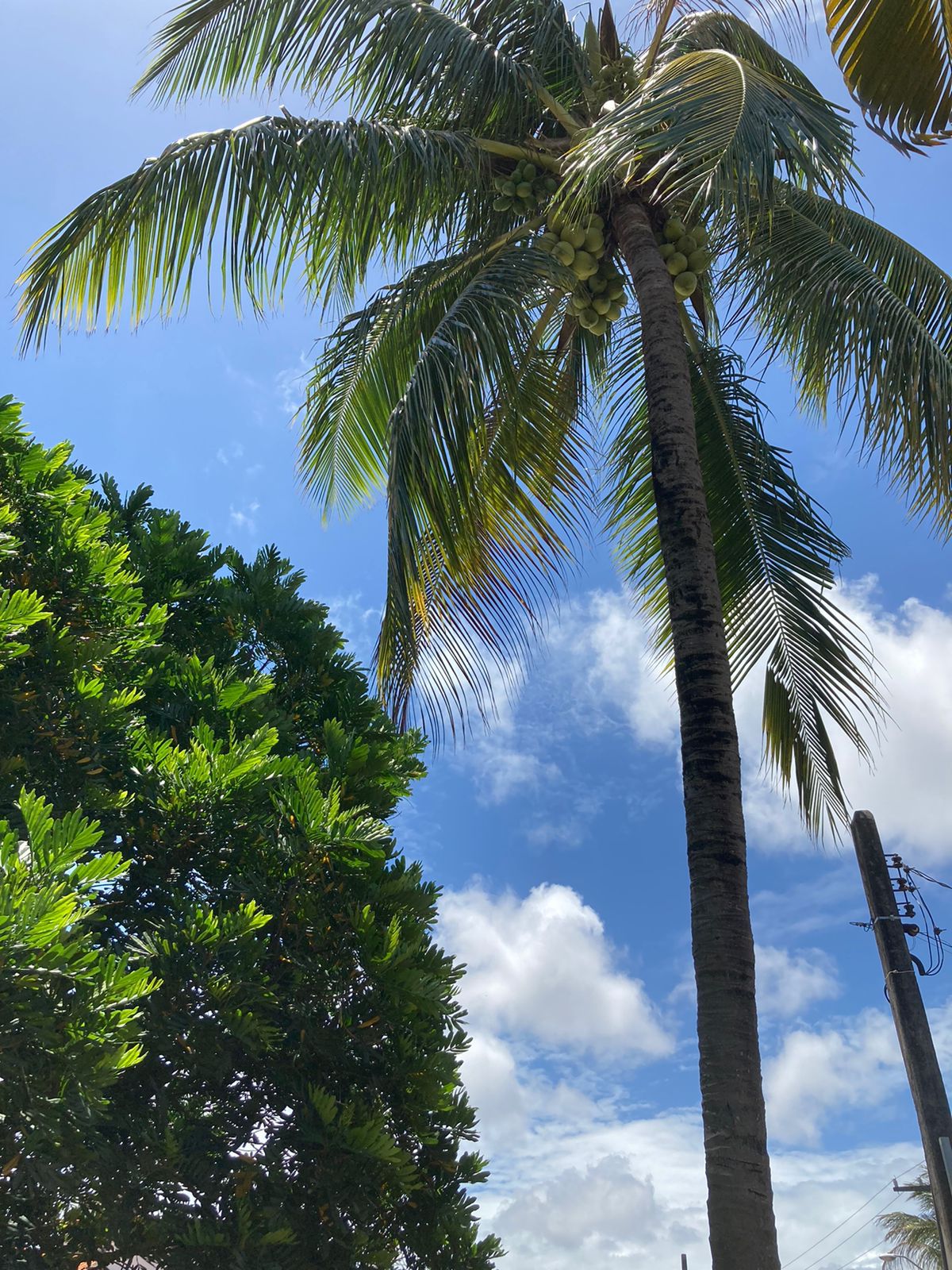 Gastfamilie Lauro de Freitas 262069