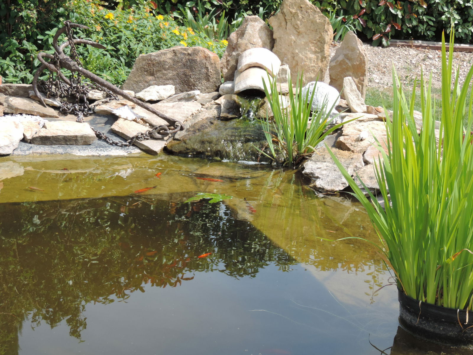 Gastfamilie Cavaillon 236258