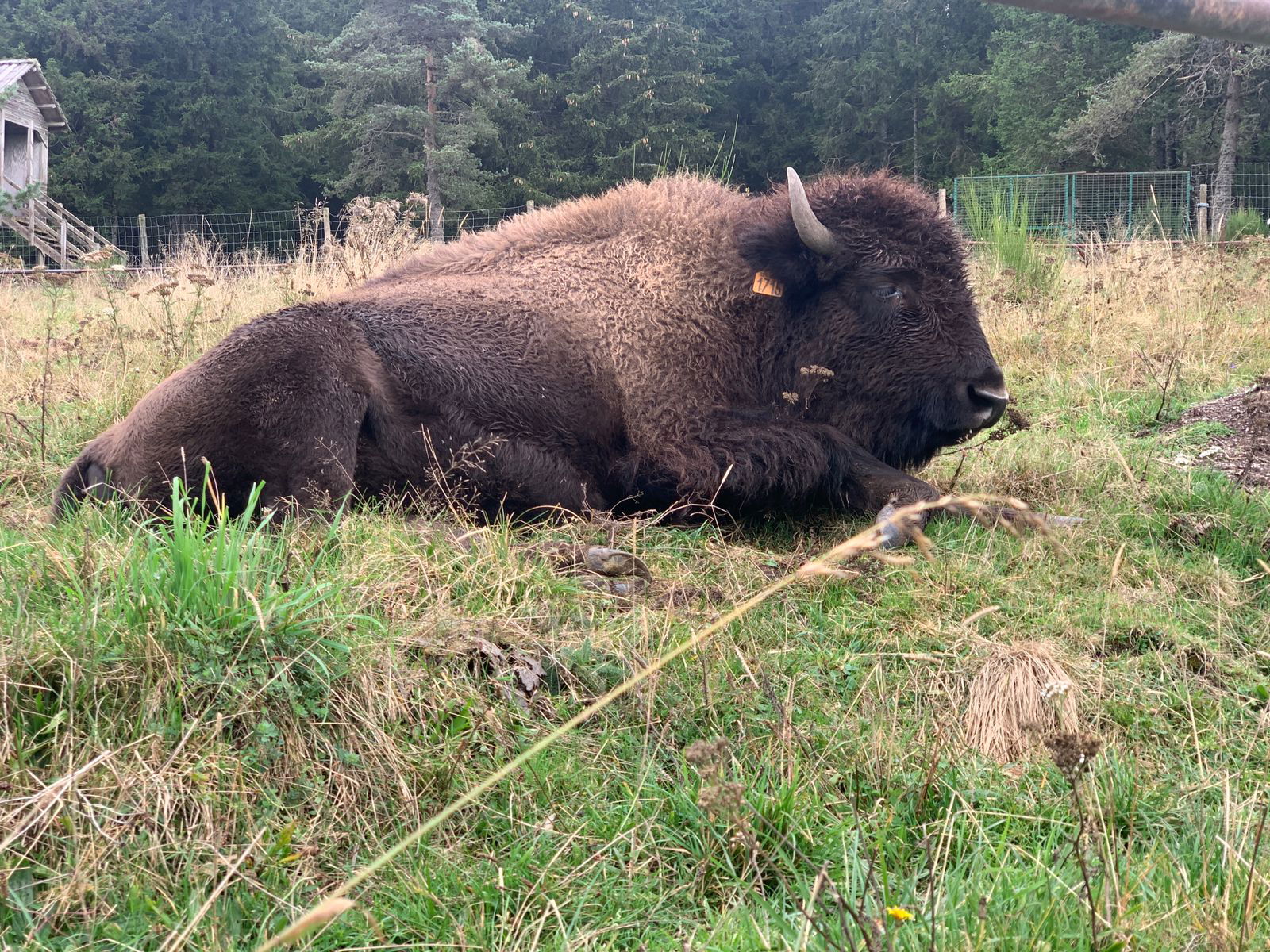 Ganzes Haus Monts-de-Randon 363147