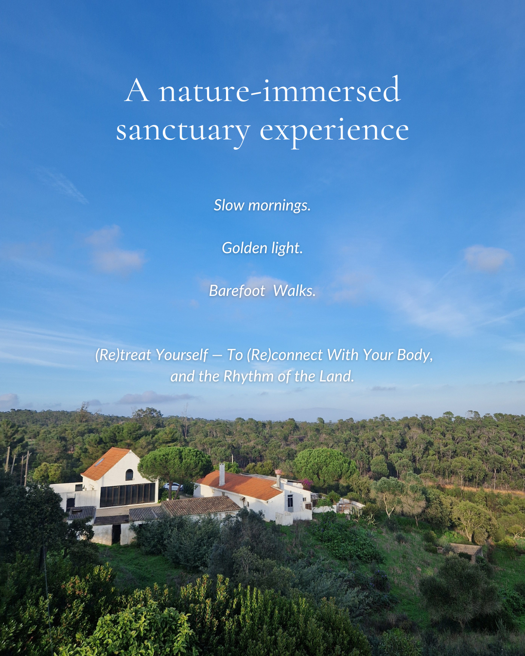 Zusammenleben Barão de São João 538328