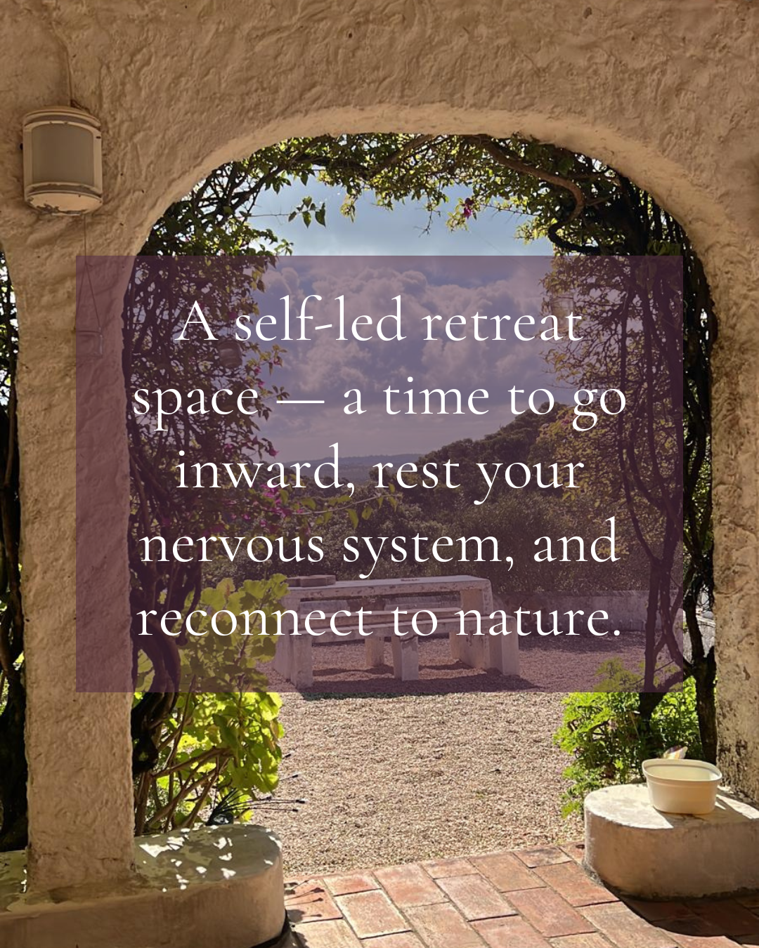 Zusammenleben Barão de São João 538328