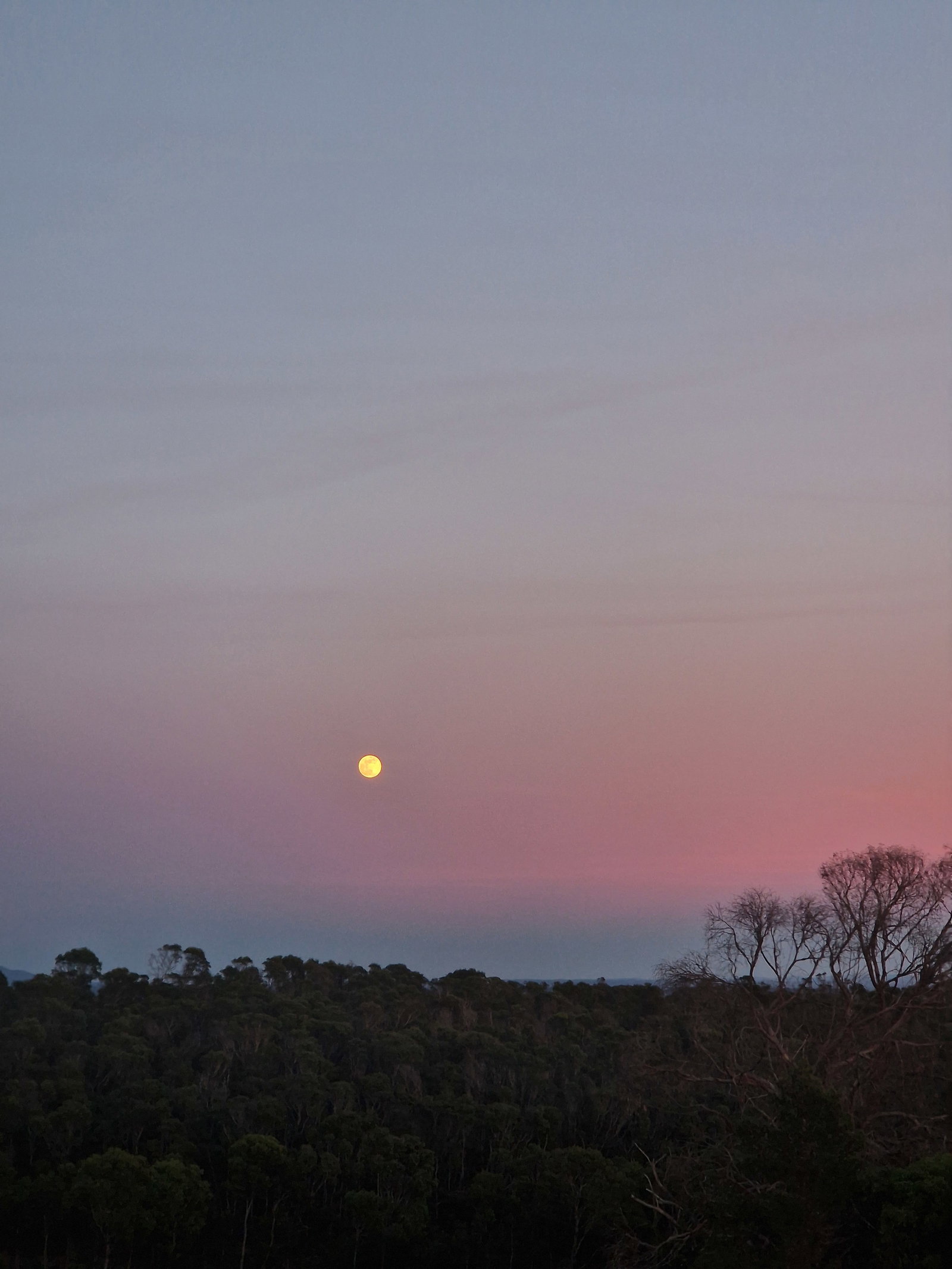 Coliving Barão de São João 538328