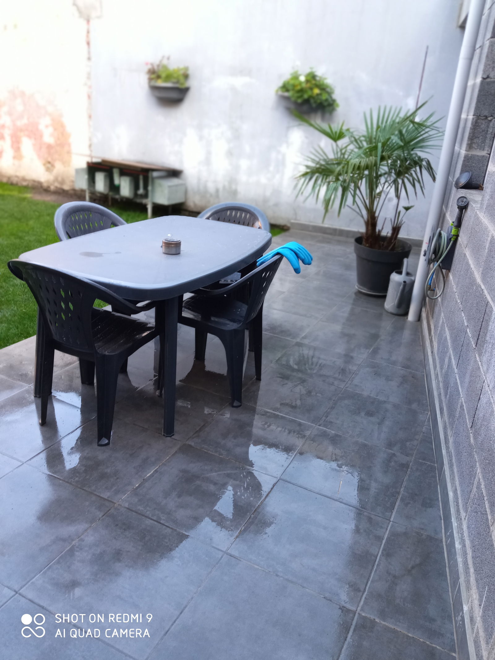 Gastfamilie Tourcoing 323148