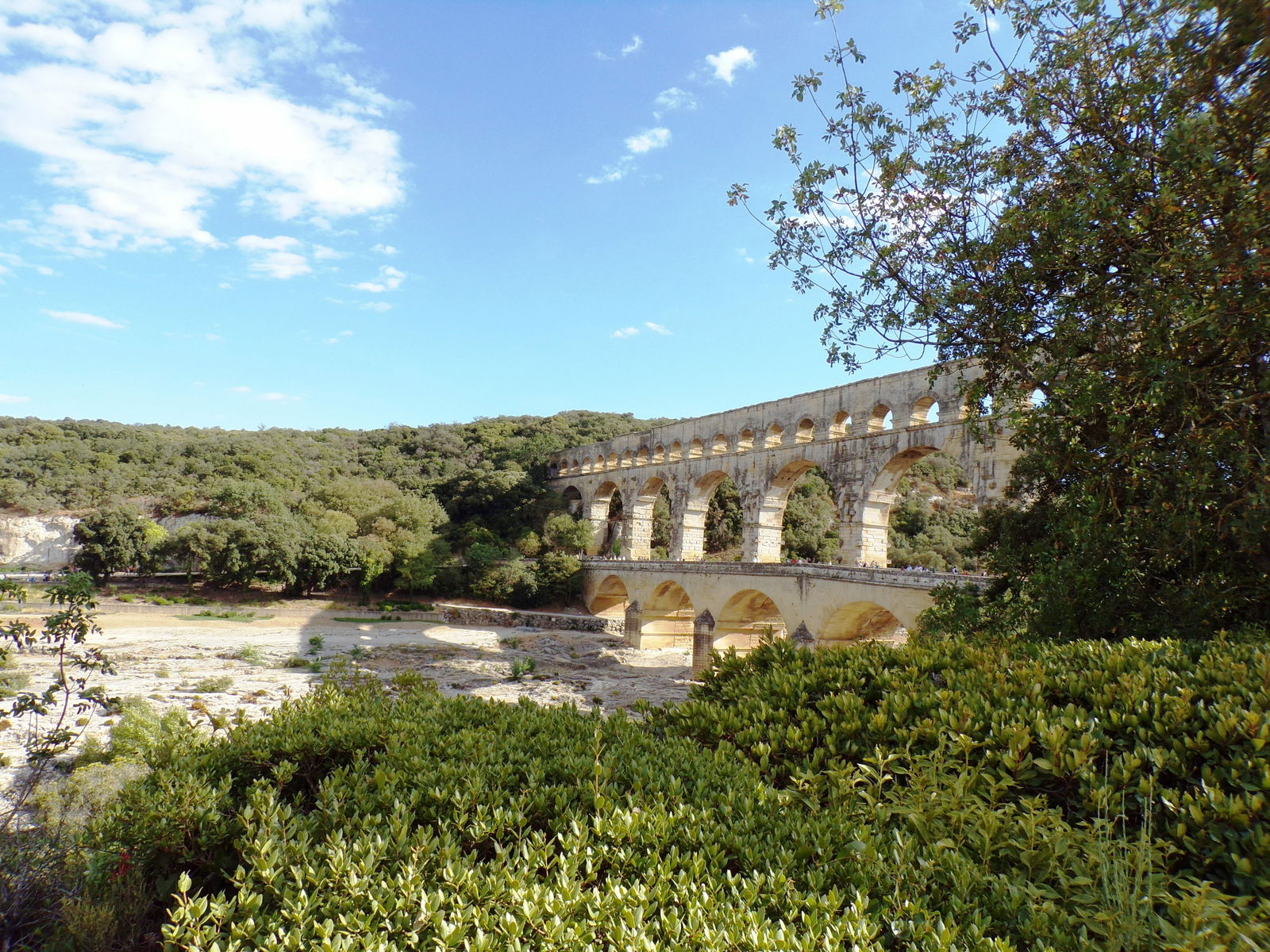 Gastfamilie Montfrin 154706