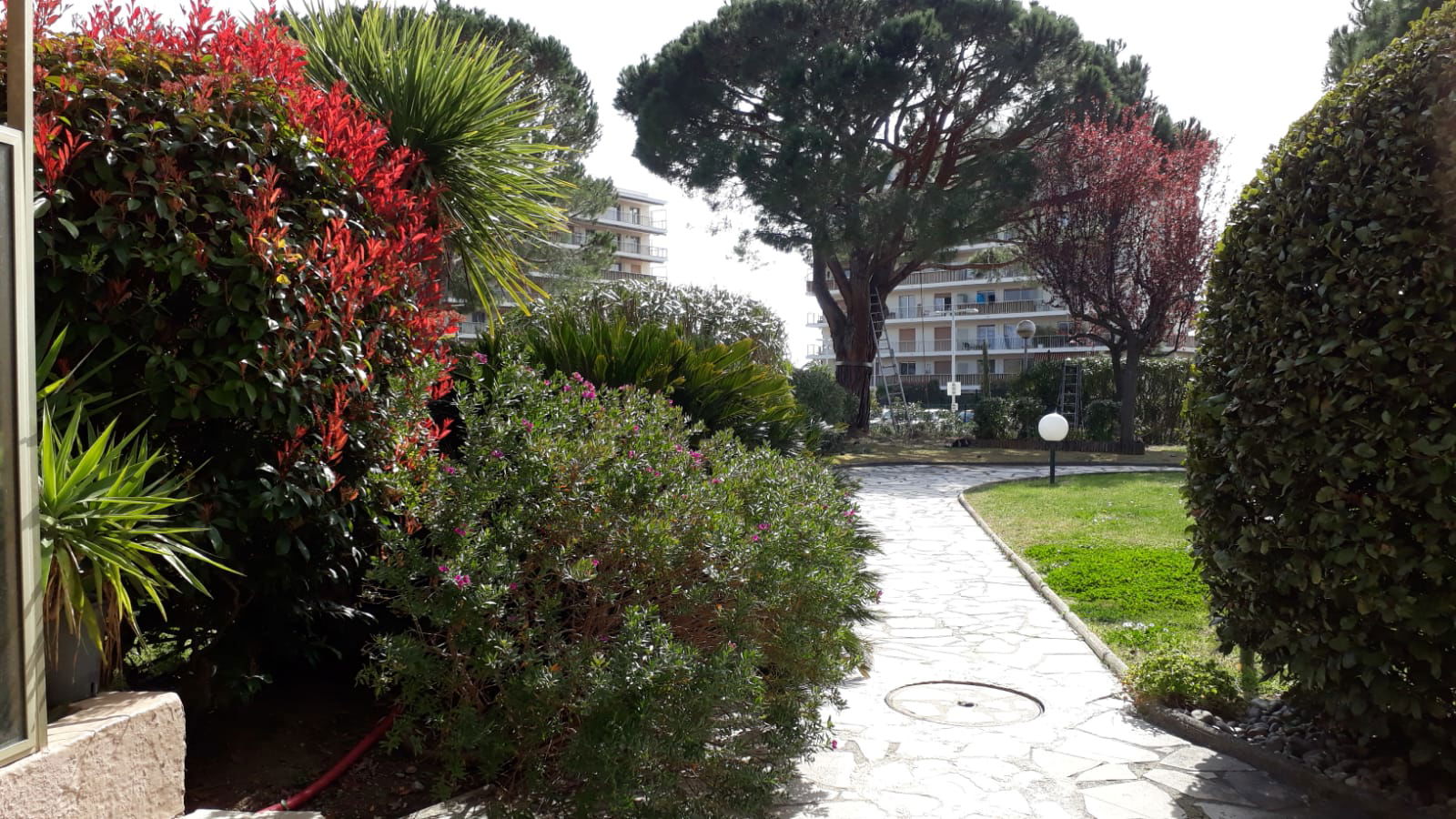 Unabhängiges Studio Antibes 234447