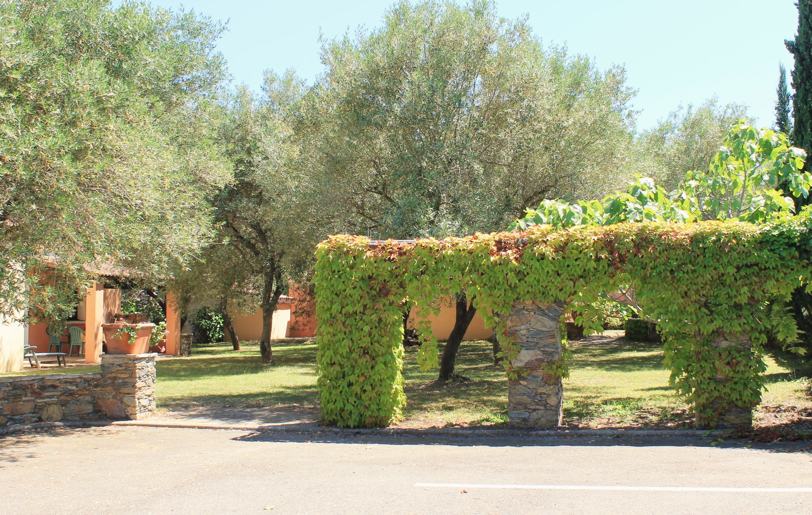Oberoende Studio Venzolasca 51601
