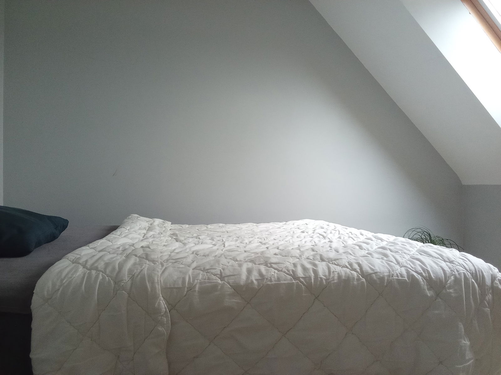 Gastekamers Beaussais-sur-Mer 478877