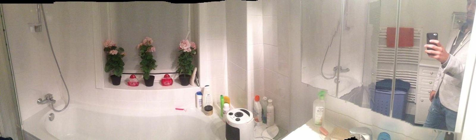 Chambre Chez L'habitant Schaerbeek 84047