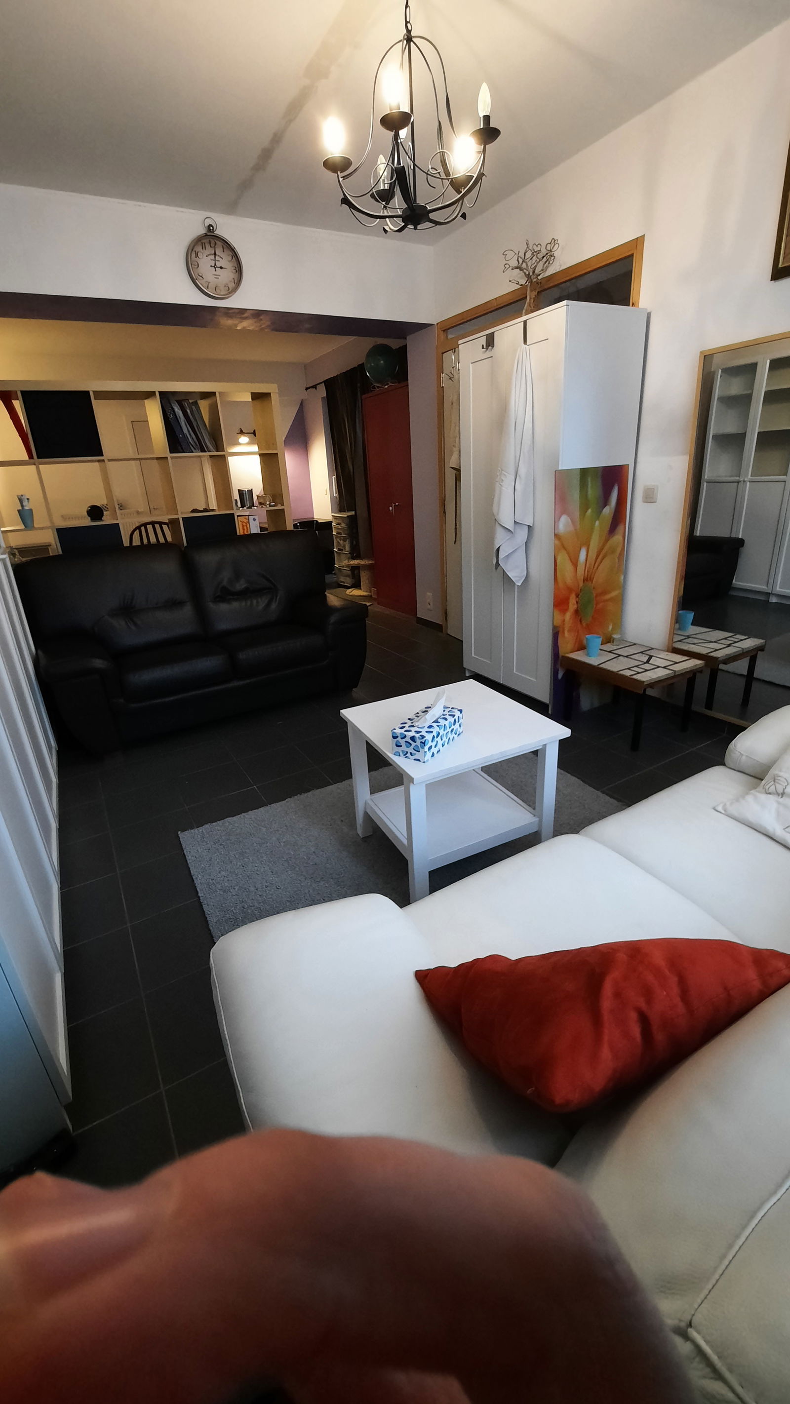 Colocation Fléron 310328