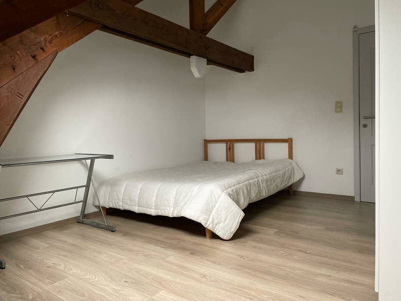 Kolokasie Seraing 248727-2