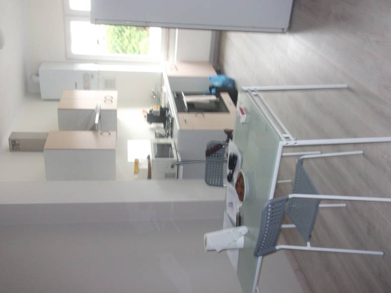 Kolokasie Bruxelles 53680-1