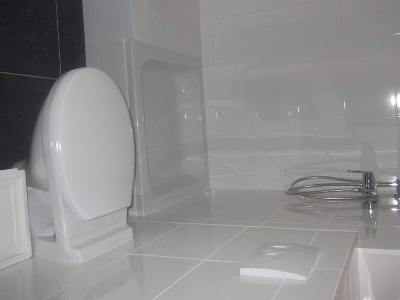 Kolokasie Bruxelles 53680-3