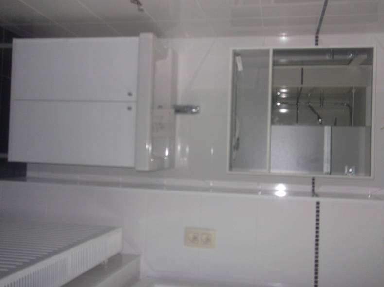 Kolokasie Bruxelles 53680-5