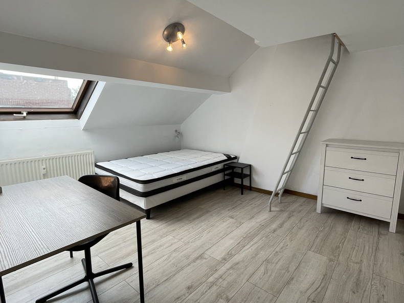 Chambre Chez L'habitant Liège 338996-3