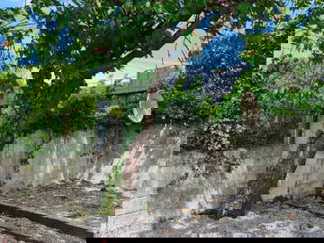 Alloggio Condiviso Charleroi 598459-3