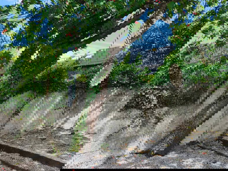 Kolokation Charleroi 598459-3