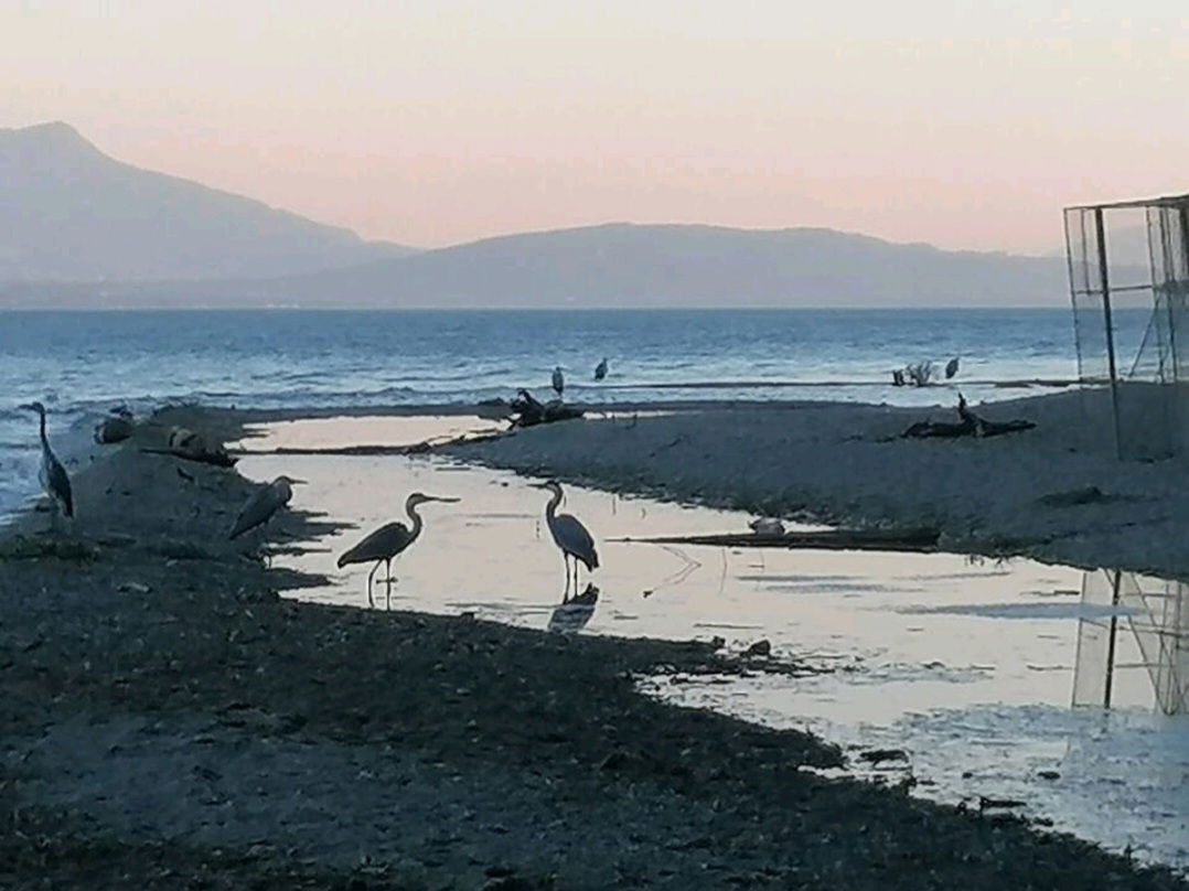 Kotimajoitus Morges 244652