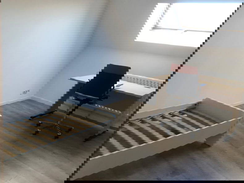 Kolokasie Wavre 544956-2