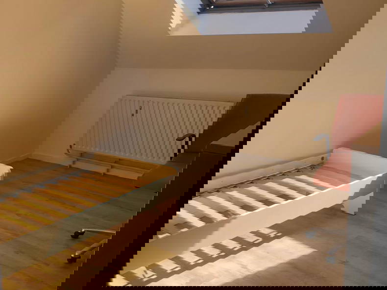 Kolokasie Wavre 544956-3