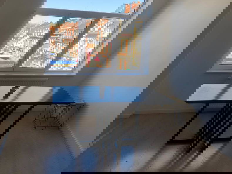 Kolokasie Wavre 544956-4