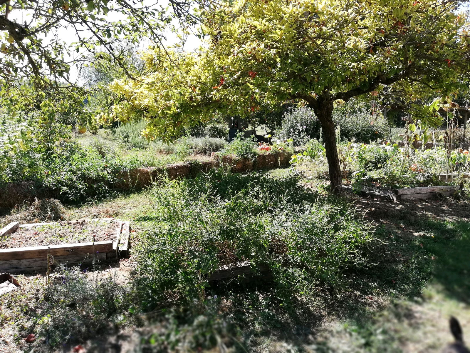 Tuisverblyf Chaveignes 222961