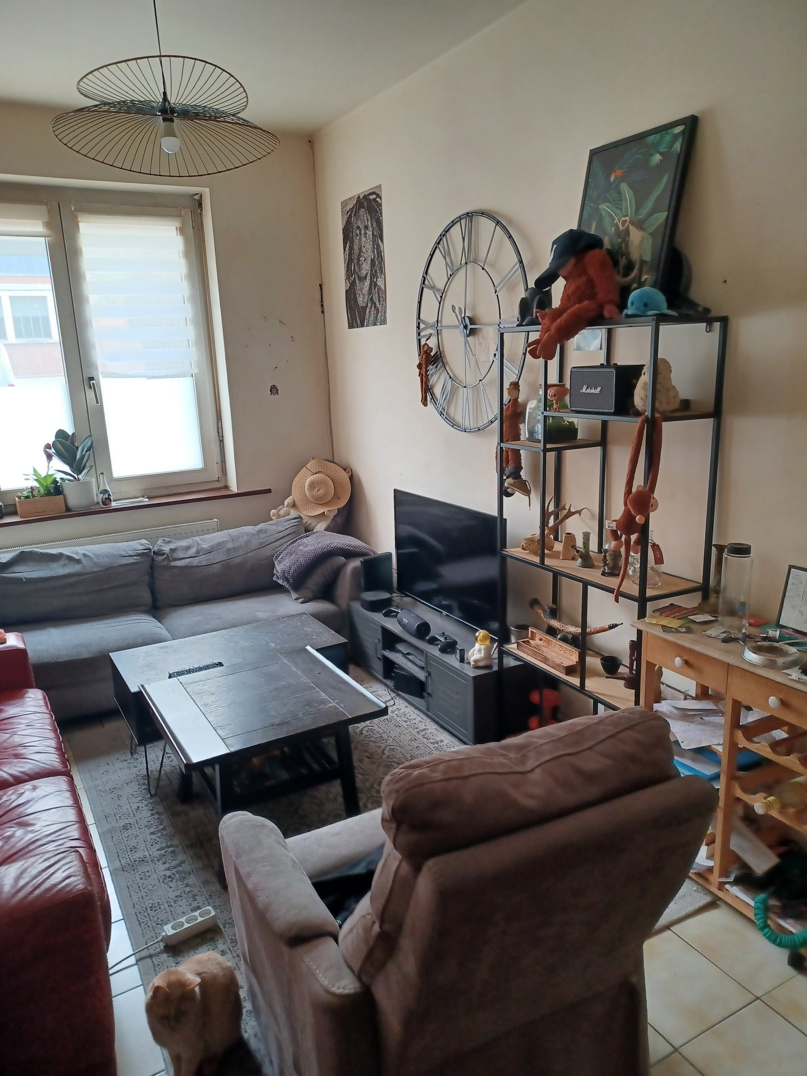 Kolokacja Lille 662694