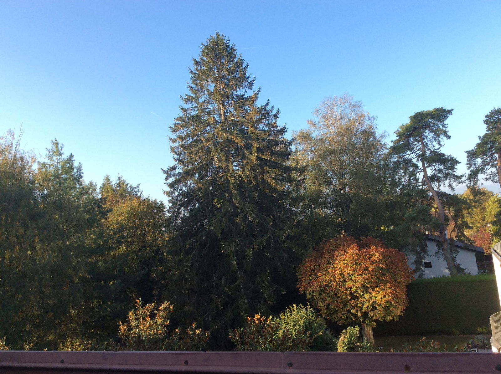 Onofhängeg Studio Ferney-Voltaire 212245