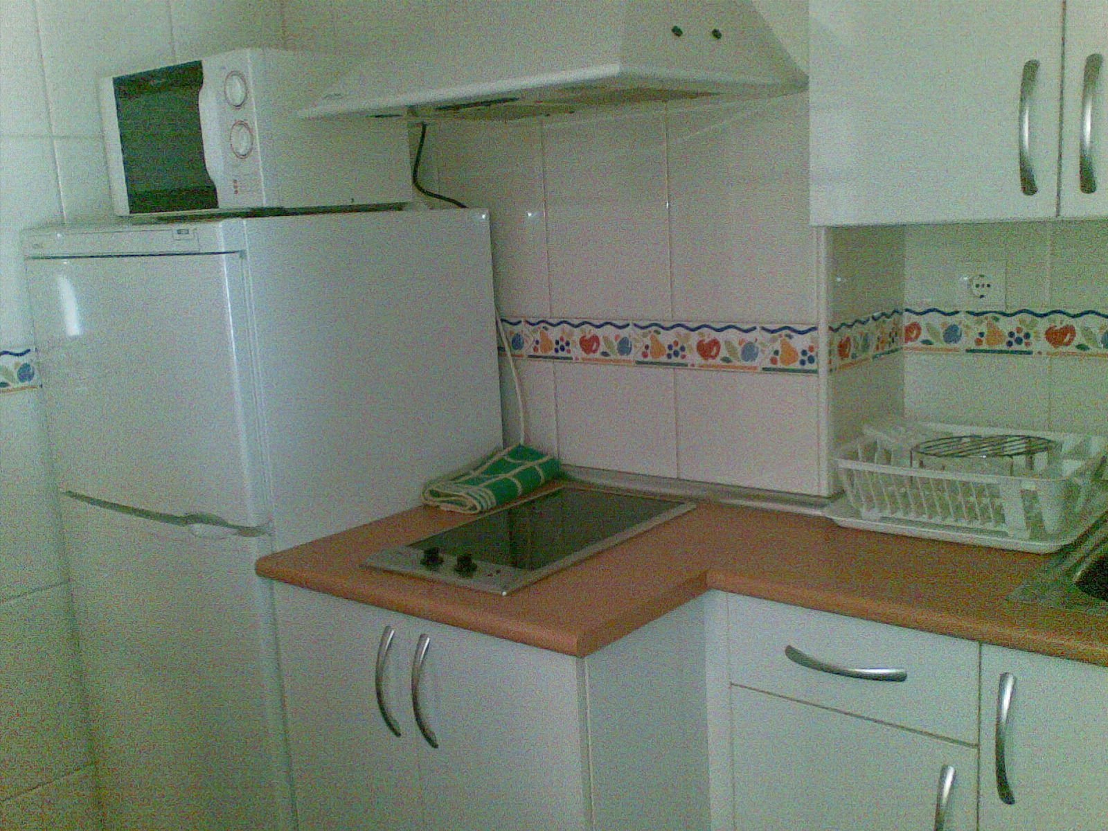 Kolokation Aranda de Duero 87521