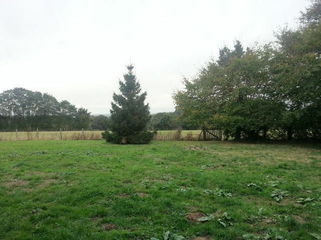 Gastfamilie Cormenon 37805