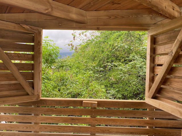 Tutta La Casa Piton 230708