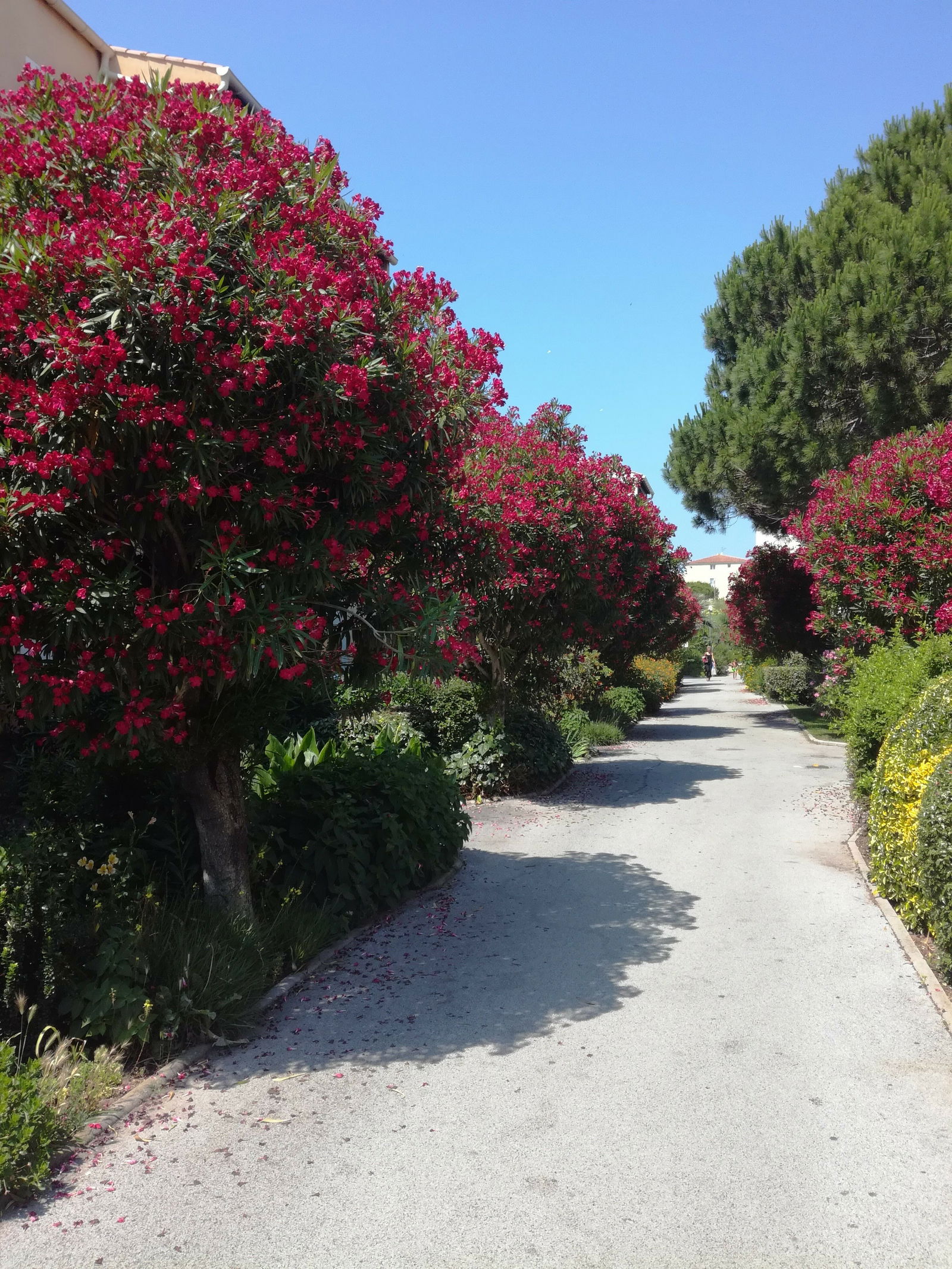 Tutta La Casa Fréjus 131398