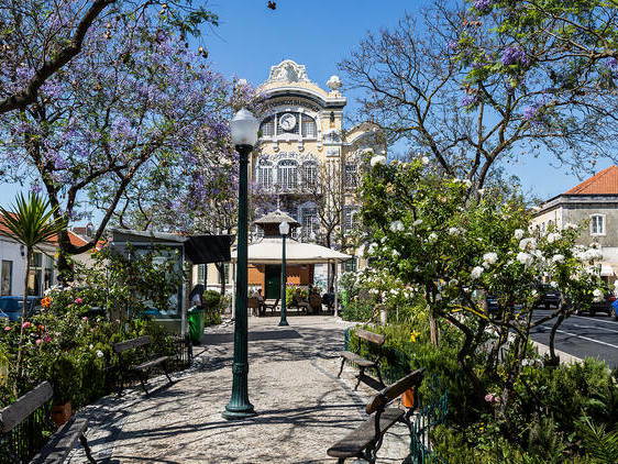 Toda La Casa Lisboa 258235-1