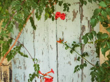 Logement Entier Blaye 184588-8