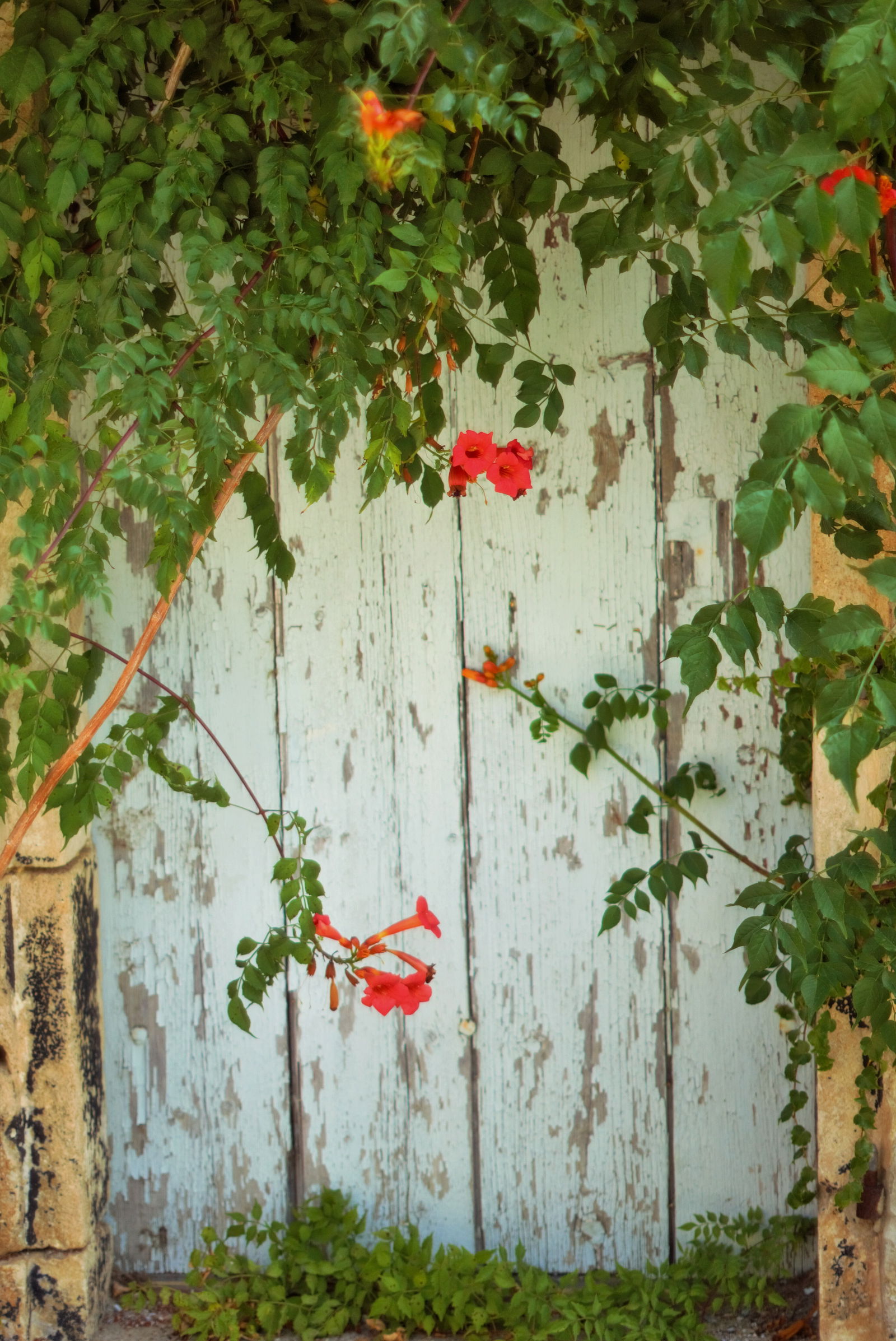 Estudio Independiente Blaye 184588