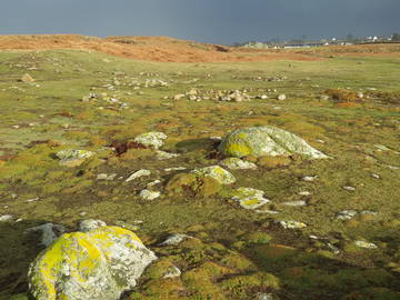 Chambre Chez L'habitant Ploudalmézeau 122519-10